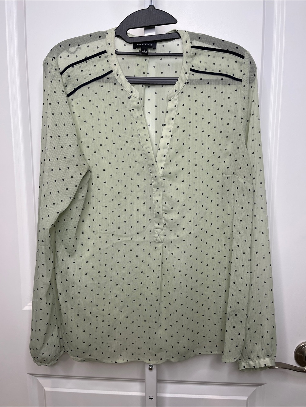 The Limited Mint Green Polka Dot Semi-sheer V-Neck Blouse Large